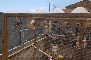 Pajarera con instalaciones