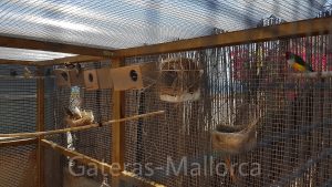 Pajarera con instalaciones