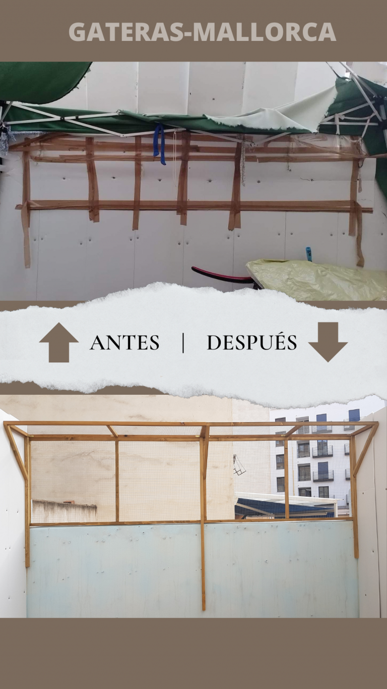Antes-Despues